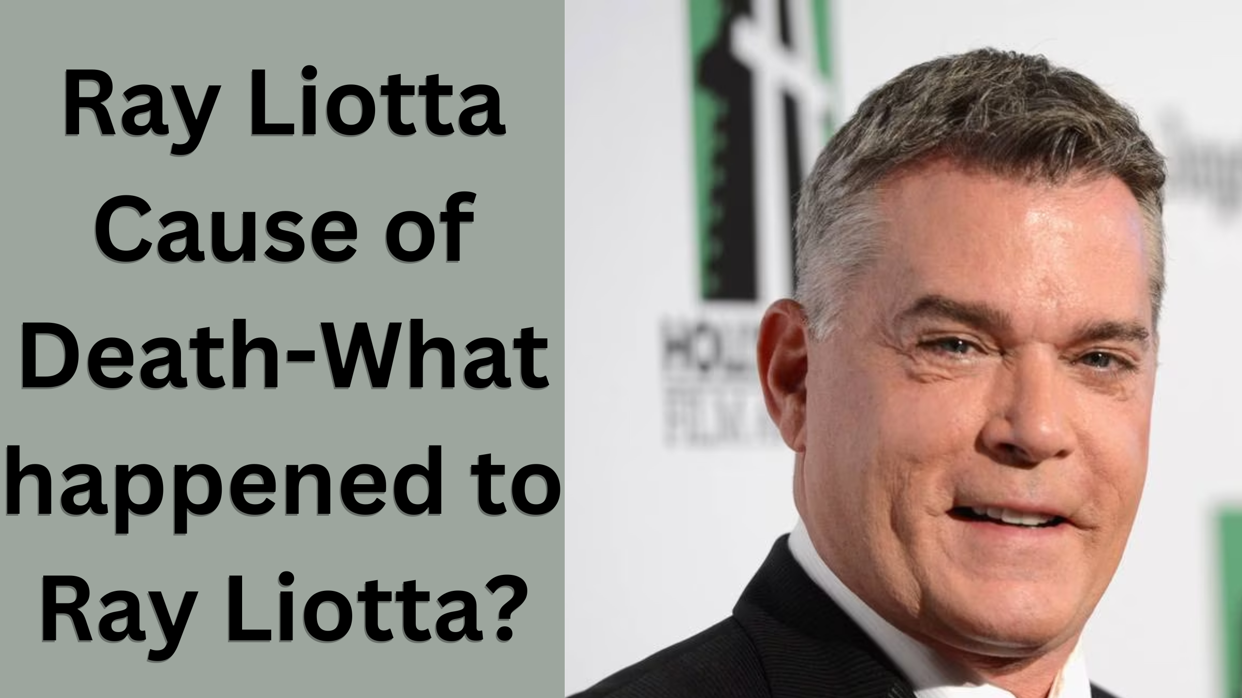 Ray Liotta Cause of Death-What happened to Ray Liotta