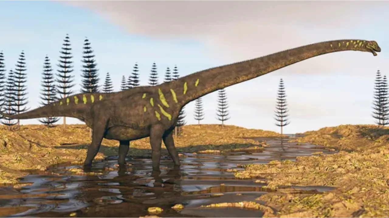 Nigersaurus Unveiling the Secrets of a Mesozoic Giant
